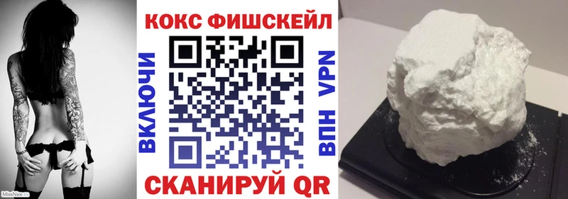 Купить закладки  Печора  COCAIN 98% 