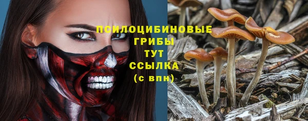 СК Инсар
