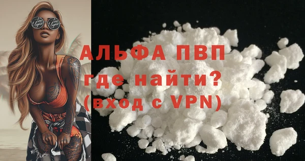 СК Инсар